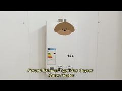 Ψηφιακή ρύθμιση θερμοκρασίας Δυναμικός θερμαντήρας νερού με αέρια εξάτμισης υψηλής απόδοσης 12L - 24L