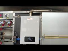 A Closer Look: 12L Tankless Thermostatic Water Heater Single Flue Pipe
